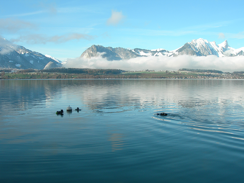 thunersee800