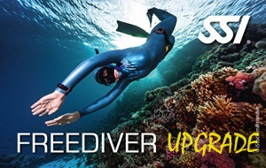 SSI Freediver (upgrade)