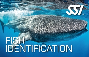Online SSI Specialty Fish Identification