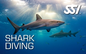 Online SSI Specialty Shark Ecology