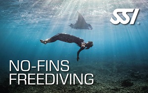 SSI Freedive No-Fins Pool
