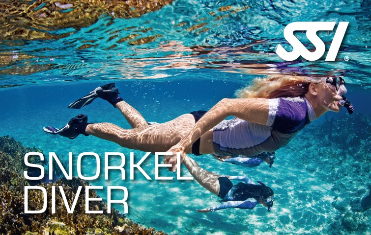 SSI Snorkeling/Schnorcheln