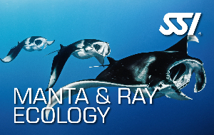 Online SSI Specialty Manta &amp; Ray Ecology