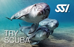 SSI Try Scuba / Schnuppertauchen